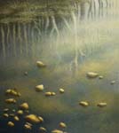 2010 shallows 