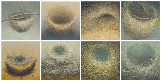 2005 variations 